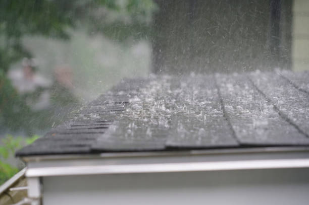 Best Gutter Installation and Repair  in East Cleveland, OH