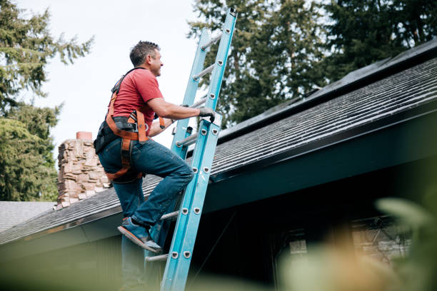 Best Solar Panel Roofing Installation  in East Cleveland, OH